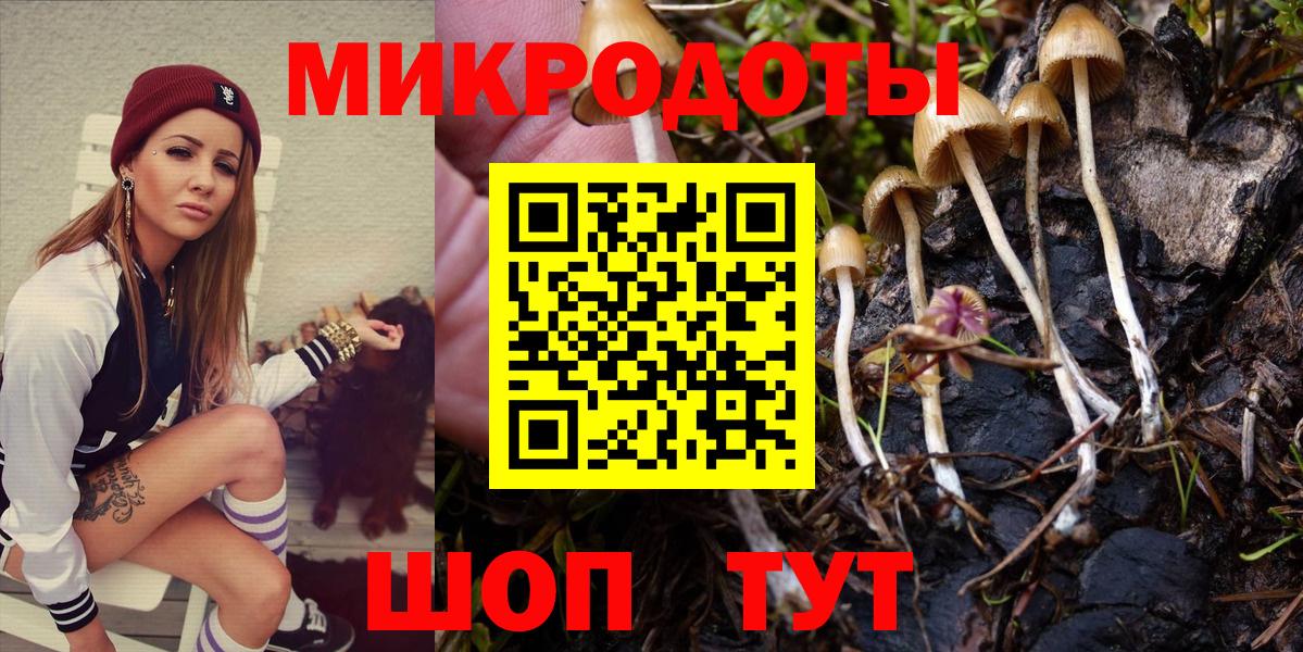 Саянск  Псилоцибиновые грибы Psilocybine cubensis  Вход с VPN 